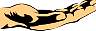 Image45.gif