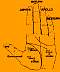 Linemap3.gif