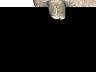 REGENA.GIF