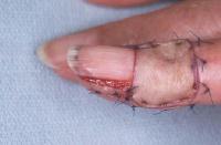 Click for larger image