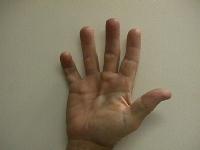 Click for larger image