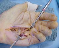 Click for larger image