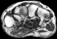 Click for larger image