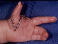 Click for larger image