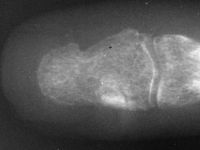 Click to enlarge Highslide